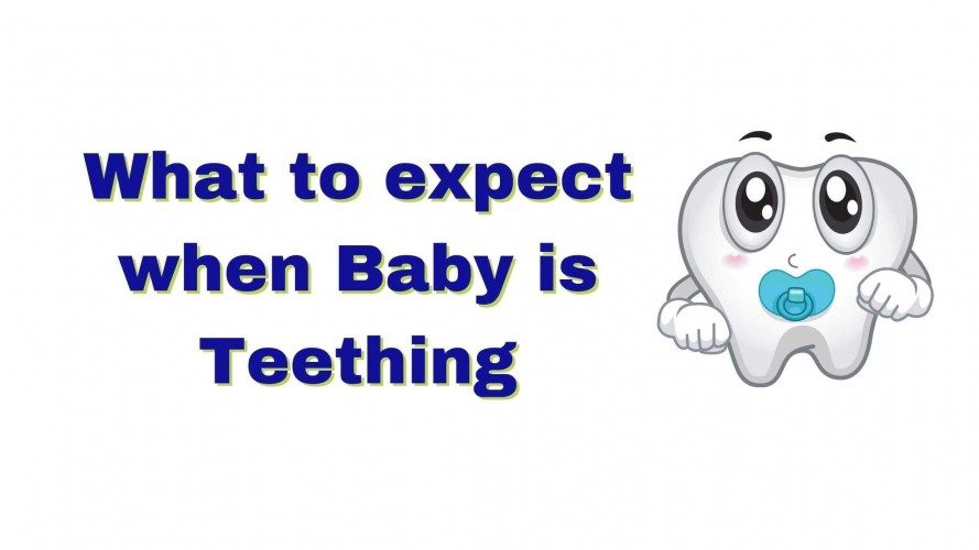 Family Dentist Advice: Baby Teething &amp; What to expect