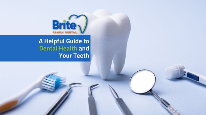 A Helpful Guide to Dental Health and Your Teeth